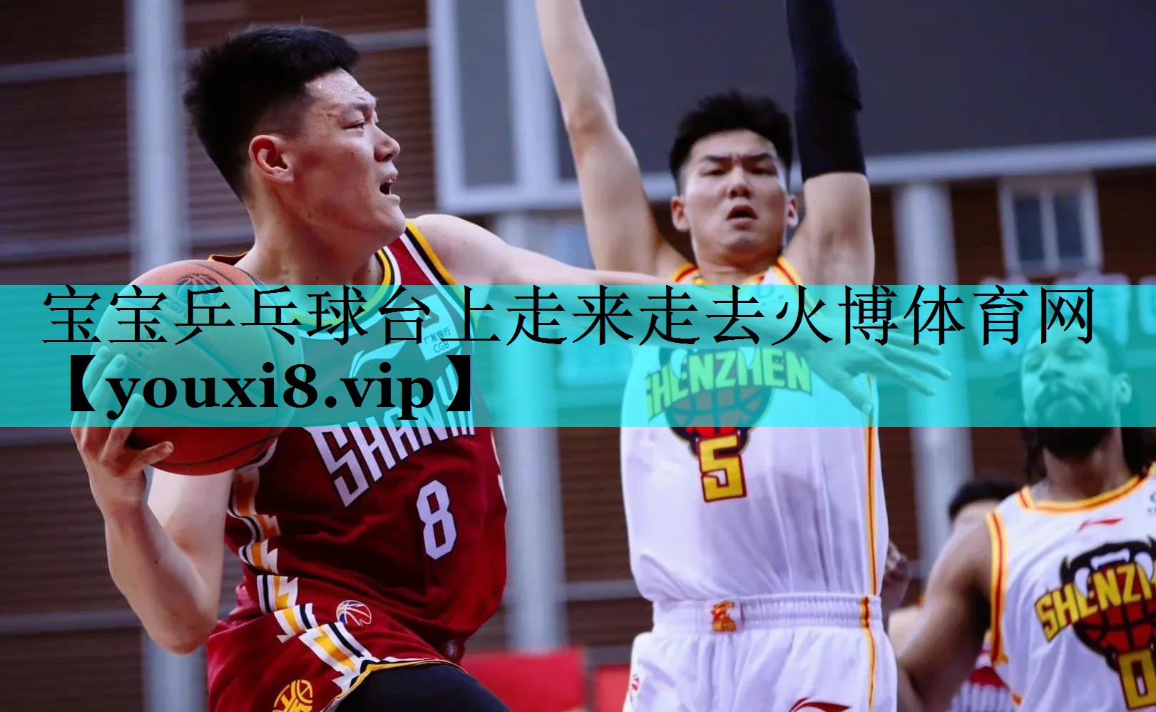 宝宝乒乓球台上走来走去火博体育网