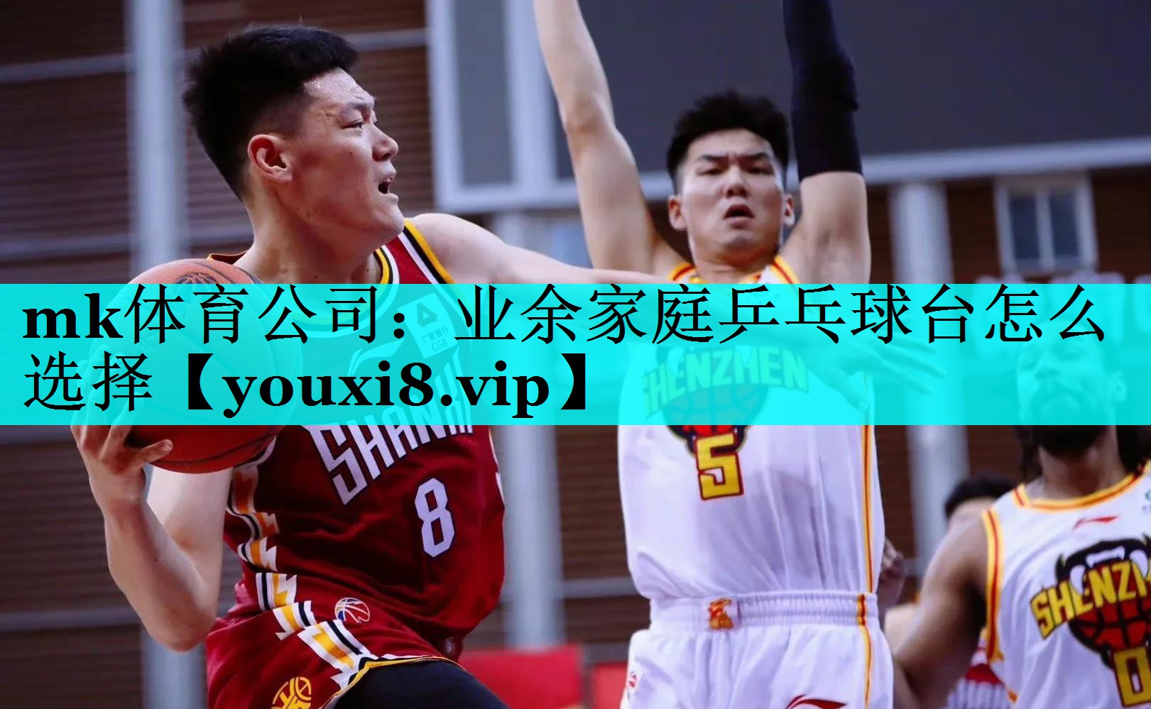 业余家庭乒乓球台怎么选择 业余家庭乒乓球台怎么选择